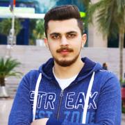 محمد انيس